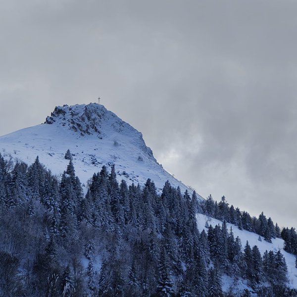 Domaine AbracadaRoom : Moose tiny House Genêts - Image 10