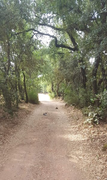 Domaine AbracadaRoom : Les Ecuries du Soleil - Image 16