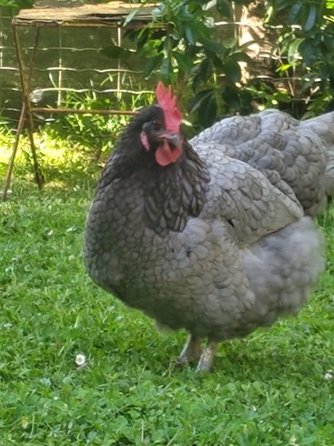 Hébergement AbracadaRoom : O'Logis de Grisette & SPA - Image 30