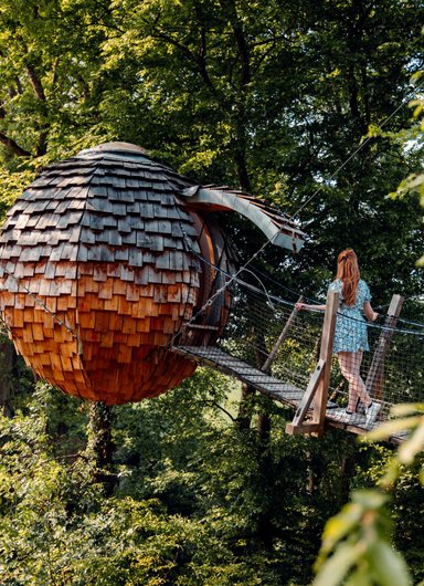Cabane Spa Cocoon Étoilé à Rosoy-En-Multien