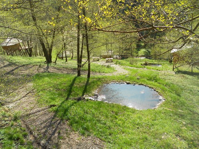 Domaine AbracadaRoom : Les Cabanes du Goutty - Image 2