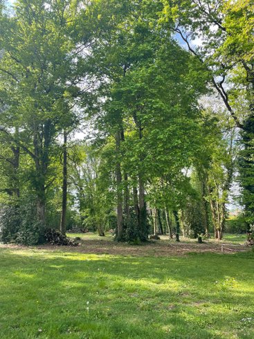 Hébergement AbracadaRoom : La Cabane Magique N°2 - Image 15