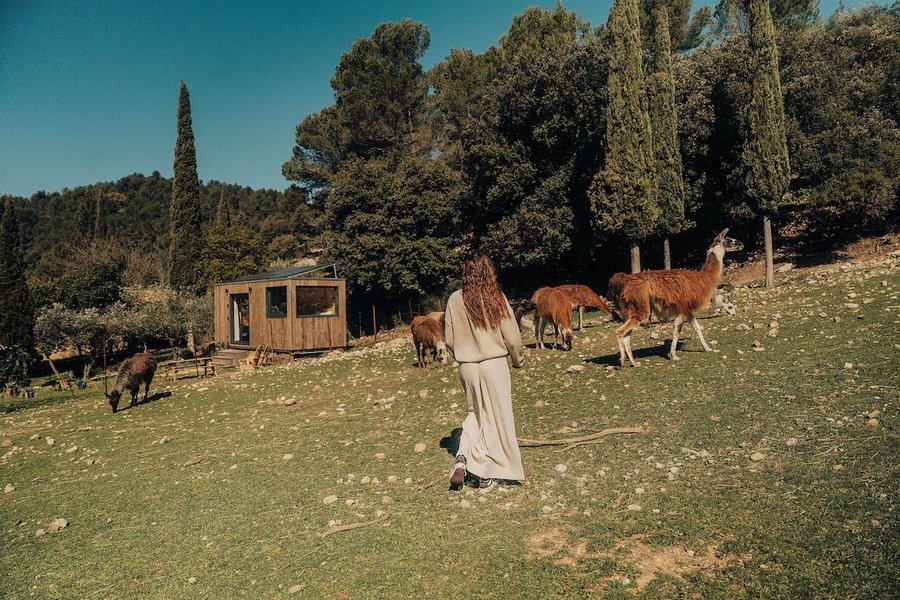 Domaine AbracadaRoom : Parcel Tiny House - au pied du Mont Ventoux - Image 36