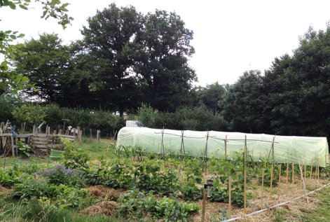 Domaine AbracadaRoom : Ferme des Ruats - Image 7