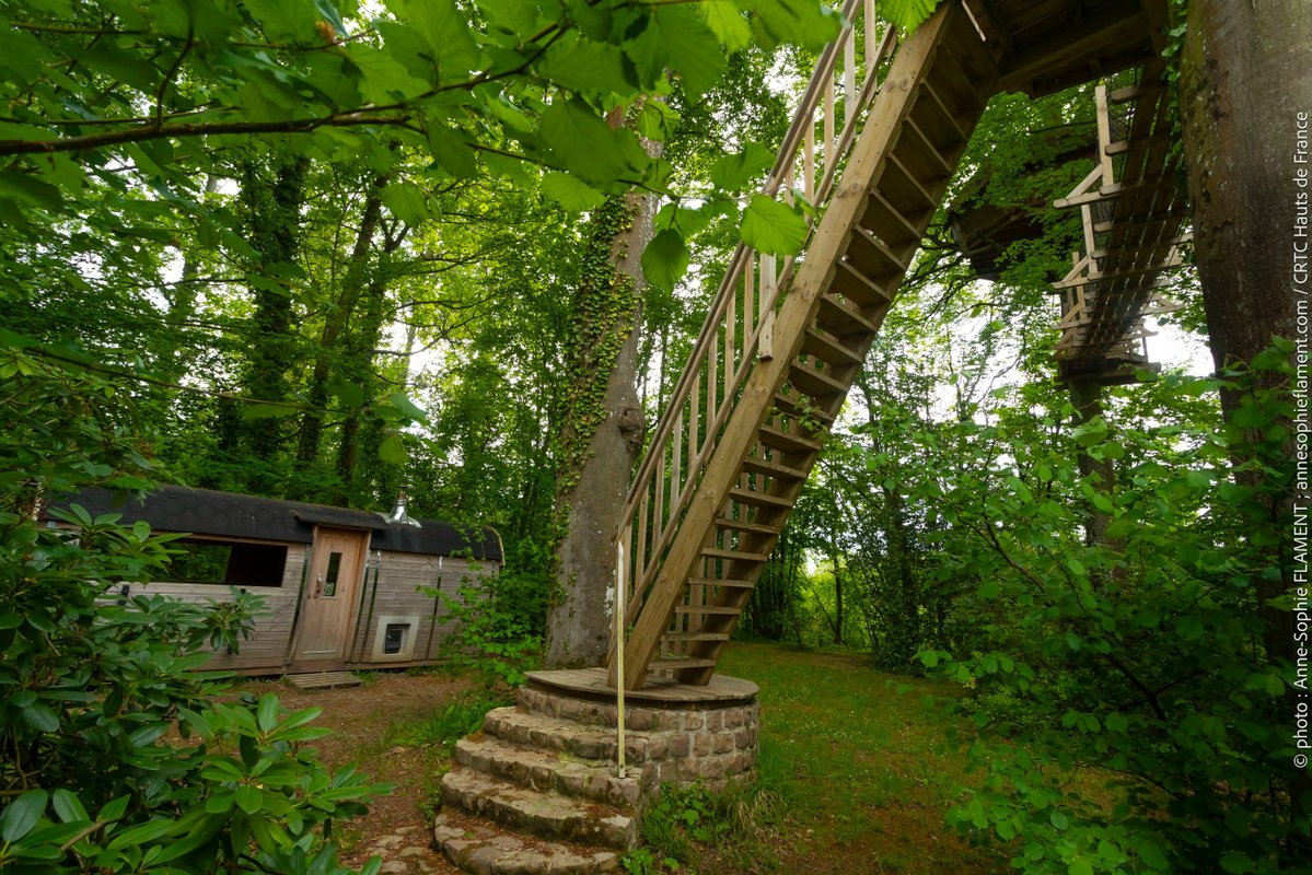 La cabane Haut-Perchée & Spa à Wail (6)