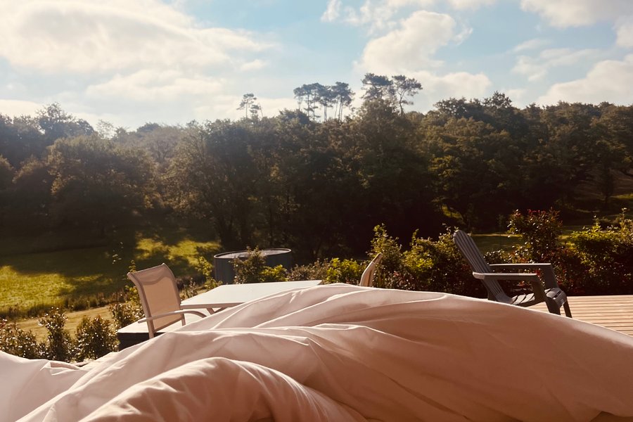 Nid'Amou 3 & Spa — photo 2