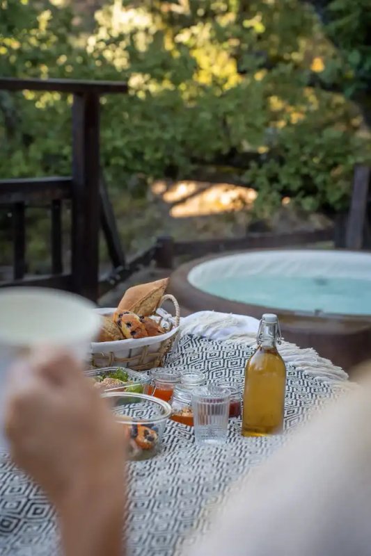 Petite Buëch & Spa à Serres (10)