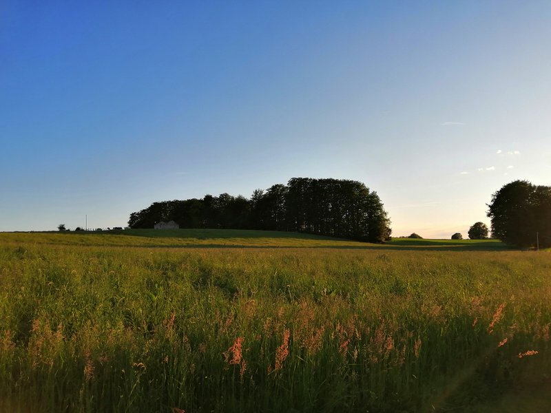 Domaine AbracadaRoom : Tiny House "Ô P'tit Nid Milie"   avec sauna : Classé 1 étoile - Vosges - Image 6