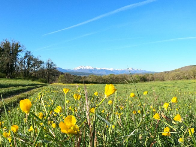 Hébergement AbracadaRoom : Lodge Glamping - Image 8