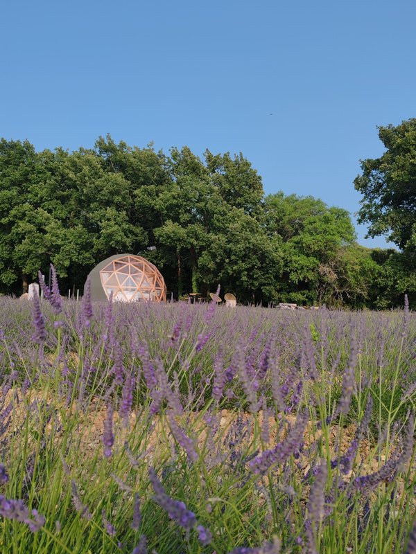 La Bulle du Lavandin à Aix-En-Provence (8)