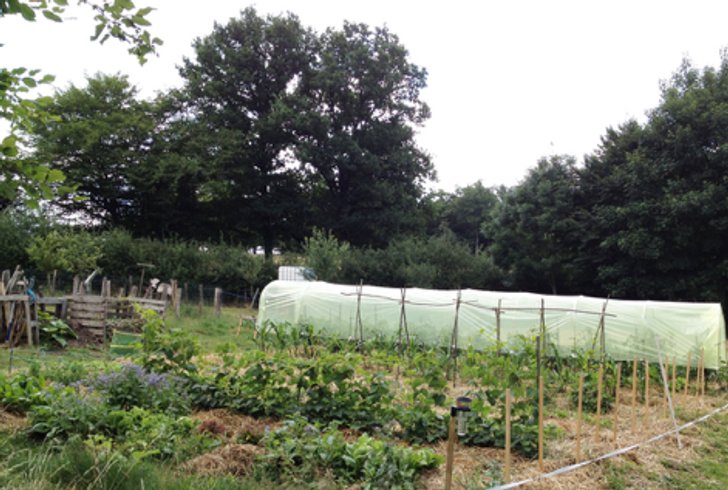 Domaine AbracadaRoom : Ferme des Ruats - Image 7