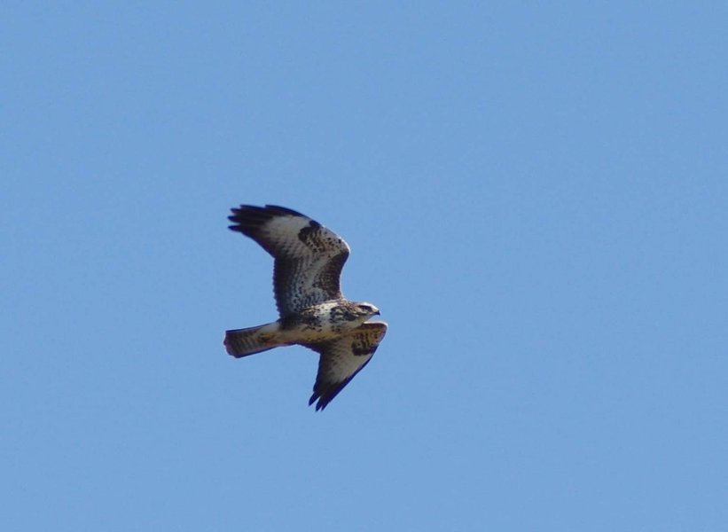 Domaine AbracadaRoom : Glamping La Fraventure - Image 35