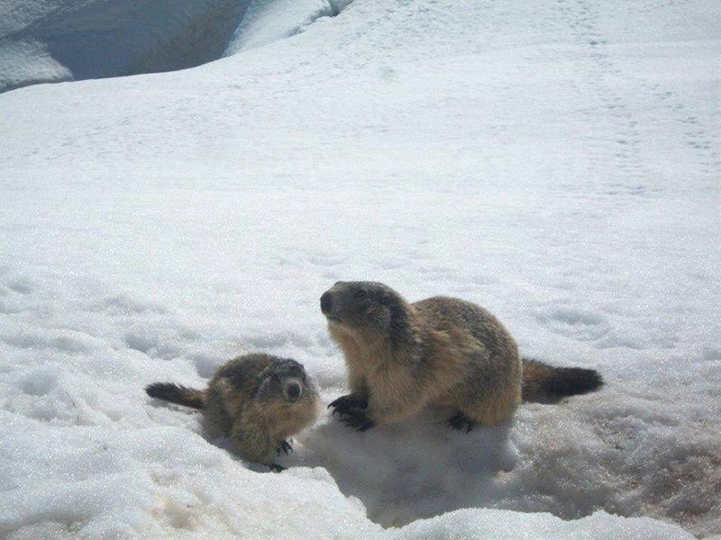 Domaine AbracadaRoom : Le Sivarol - Image 2