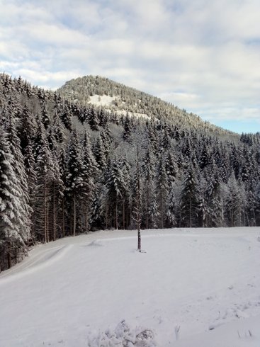 Hébergement AbracadaRoom : Chambre Roulotte et spa privatif  vue montagne - Image 12