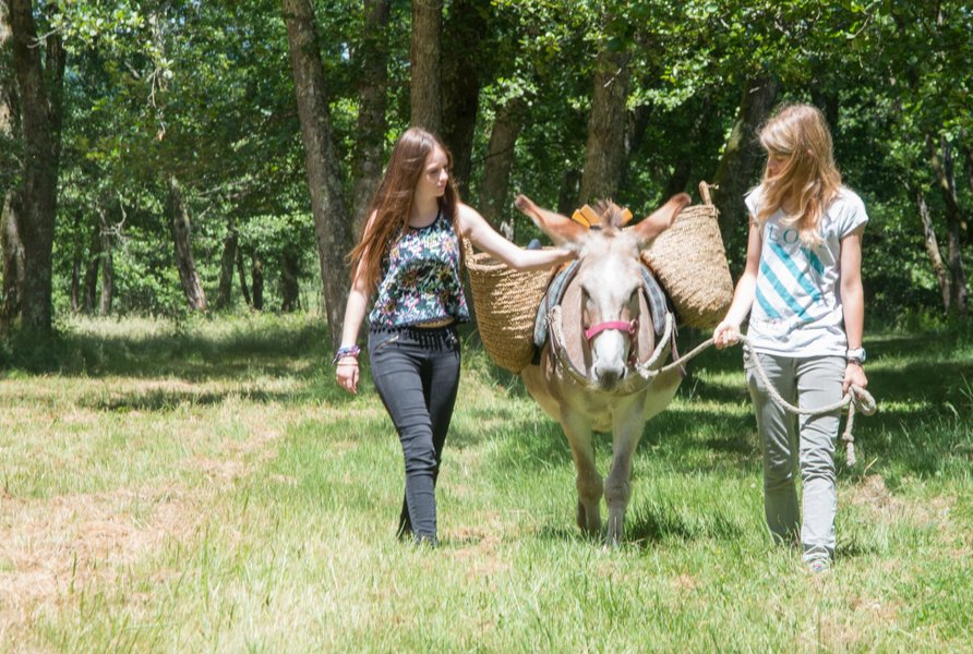 Domaine AbracadaRoom : Les Ânes de Vassivière - Image 8