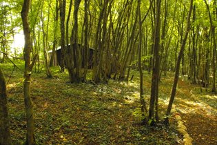 Lodge Un Lit au Pré n°1 - Domaine Saint Christophe
