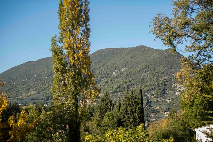 Domaine AbracadaRoom : Bulles d'Olive - Image 13