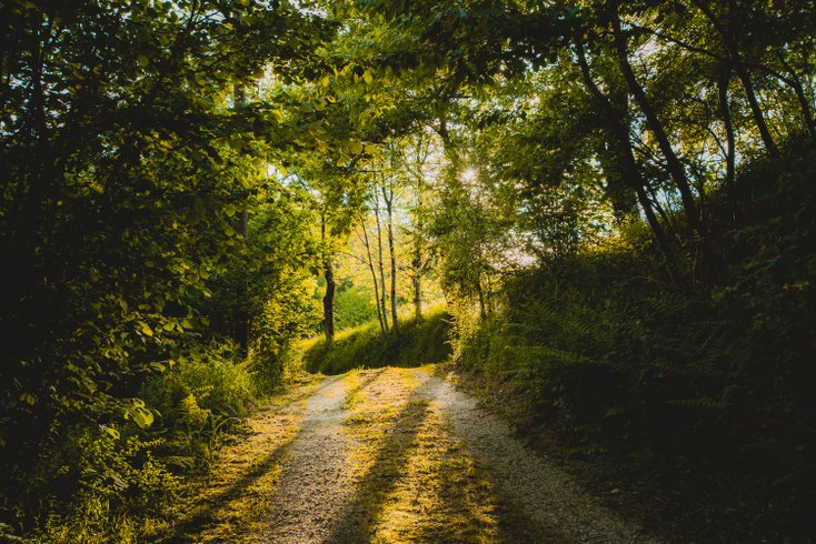 Domaine AbracadaRoom : La Casitanatur - Image 6