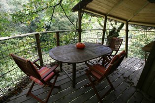 Cabane dans les arbres Morbihan