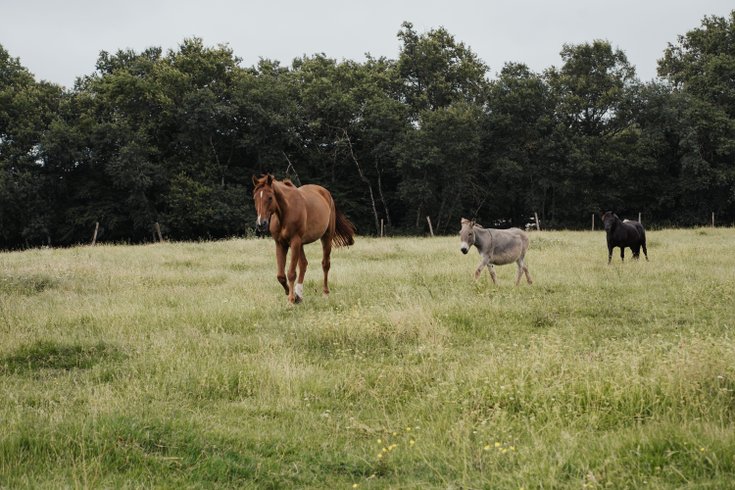 Hébergement AbracadaRoom : Notre Cabane perchée & son lac privé - Image 24