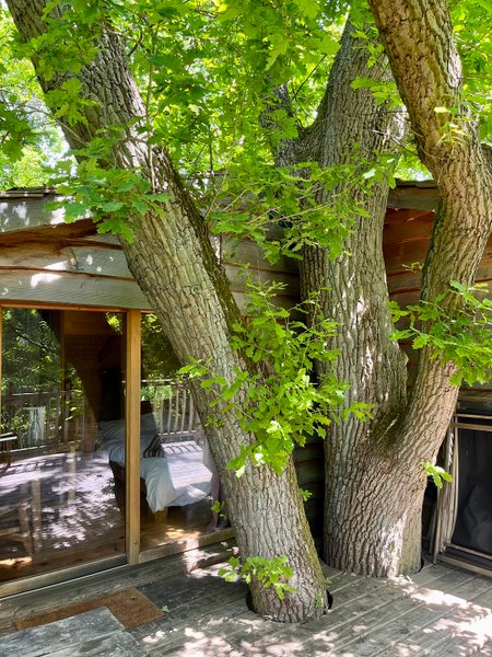 Hébergement AbracadaRoom : Cabañas Dúo en los Árboles - Image 19