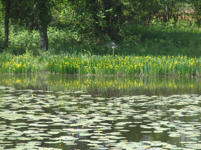 Domaine AbracadaRoom : Une Nuit aux Lierres - Image 2