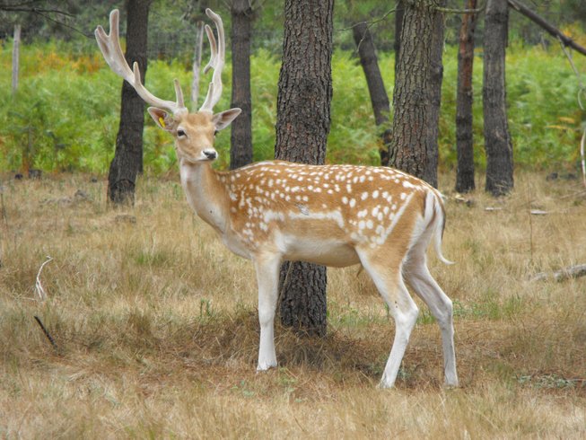 Domaine AbracadaRoom : La Ferme de l'Argenté - Image 2