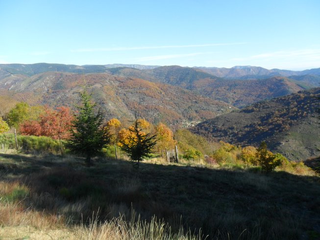 Domaine AbracadaRoom : Le Bois d'Eden - Image 6