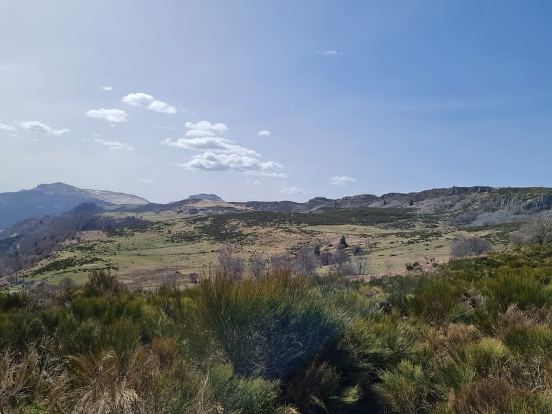 Domaine AbracadaRoom : La roulotte du p'tit Buron - Image 18