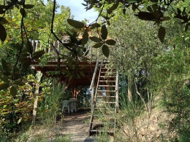 cabane dans les arbres-domaine des amoureux-paca-abracadaroom