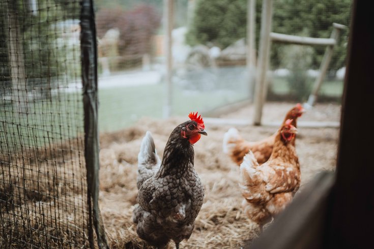 Hébergement AbracadaRoom : Chalet Trappeur & SPA - Image 44