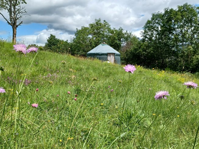 Domaine AbracadaRoom : Yourtissimo - Image 3