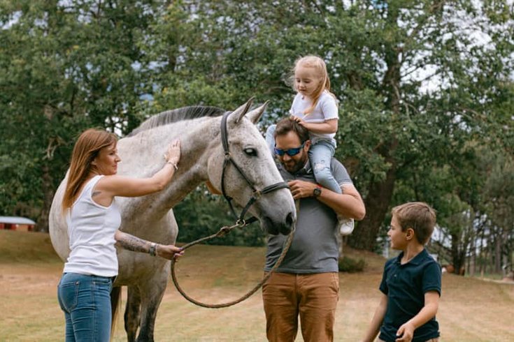 Domaine AbracadaRoom : Domaine El Campo - Image 13