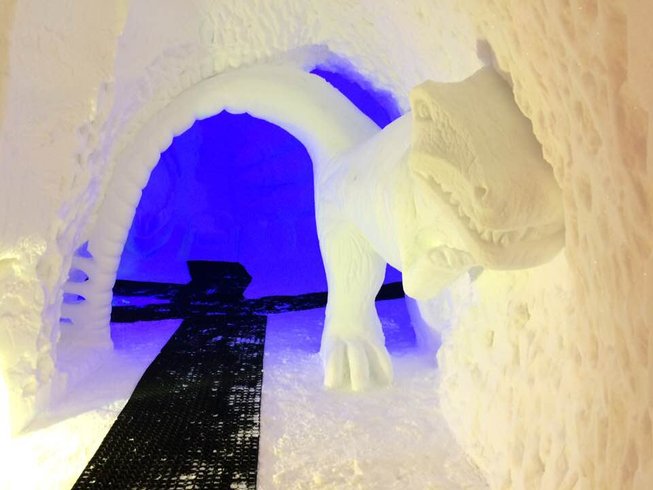 Domaine AbracadaRoom : Blacksheep Village Igloo - Image 18