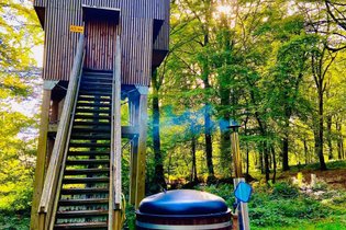Cabane Spa dans les arbres