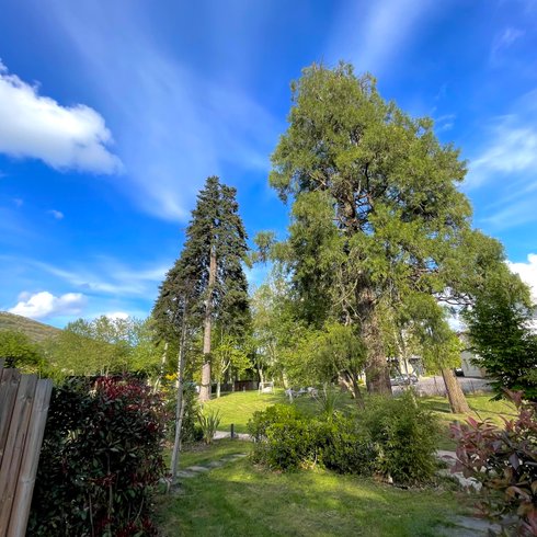 Hébergement AbracadaRoom : Ecolodge**** en Aveyron - Image 6