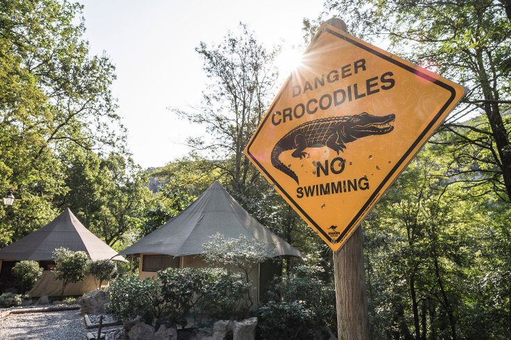 Domaine AbracadaRoom : Préhistoric Lodge - Image 7