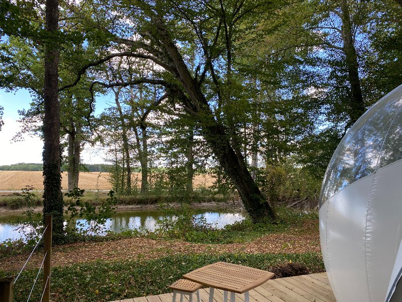 Hébergement AbracadaRoom : Bulle de l'étang - Image 5