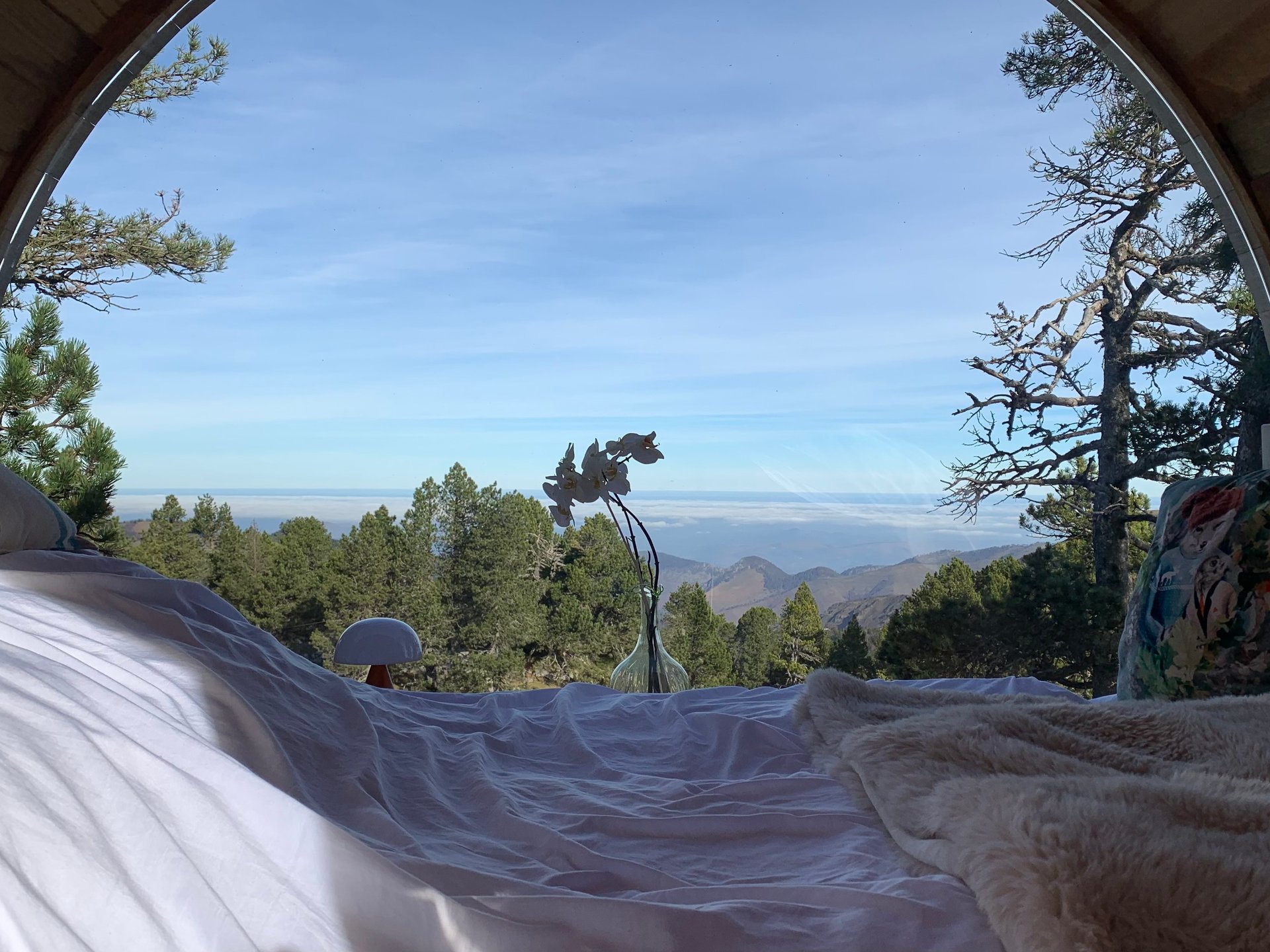 Bulle Spa Oxygène 1650