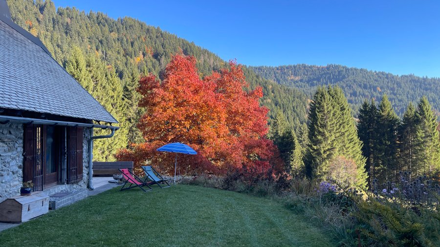 Domaine AbracadaRoom : Chalet d'alpage de Beauregard - Image 28