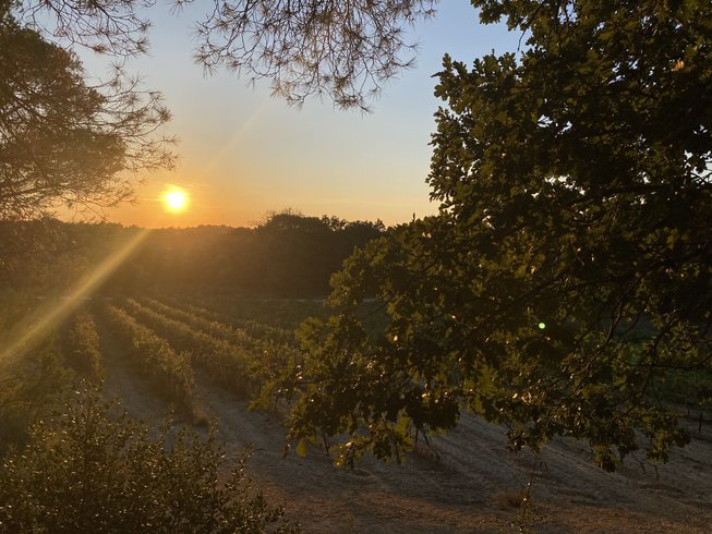 Domaine AbracadaRoom : Homnest (Mondragon) - Image 8