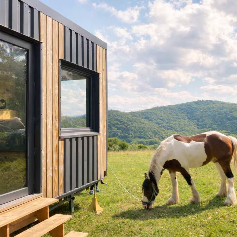 ※ Homnest ※ Panorama des Puys à Cheval ※ Refuge 2 à Châtel-Guyon (2)