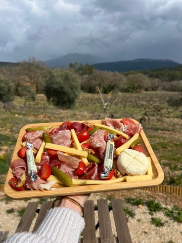 Hébergement AbracadaRoom : Tiny House Sainte Victoire - Image 5