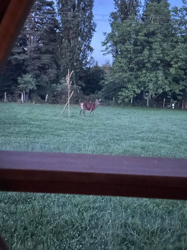 La Bulle à Biches à La Bretenière (30)