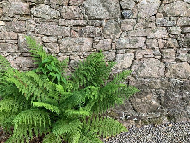 Domaine AbracadaRoom : La Ville Es Renais - Image 15