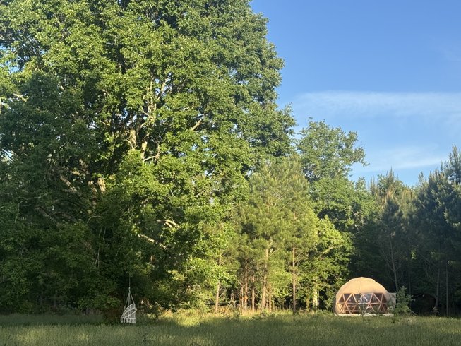 Domaine AbracadaRoom : Dôme en forêt Landaise - Image 1