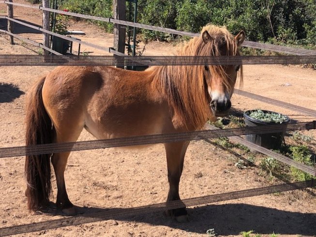 Hébergement AbracadaRoom : Les chalets de Tesa 2 - Image 10
