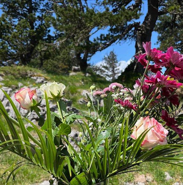 Domaine AbracadaRoom : BULLE D’OXYGÈNE 1650 - Image 27