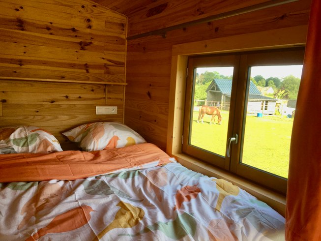 Hébergement AbracadaRoom : Vue Poneys Pony House : séjour nature en Normandie - Image 1