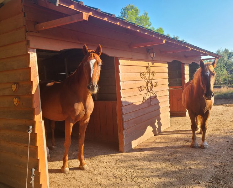 Domaine AbracadaRoom : Les Ecuries du Soleil - Image 19